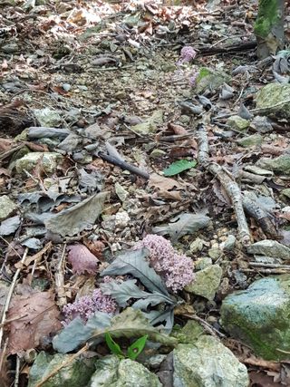 정석구님의 자유주제 · 자유게시판 작성글 사진