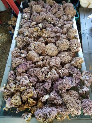 정석구님의 자유주제 · 자유게시판 작성글 사진