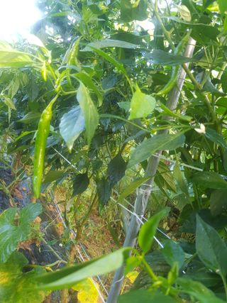 정석구님의 자유주제 · 자유게시판 작성글 사진