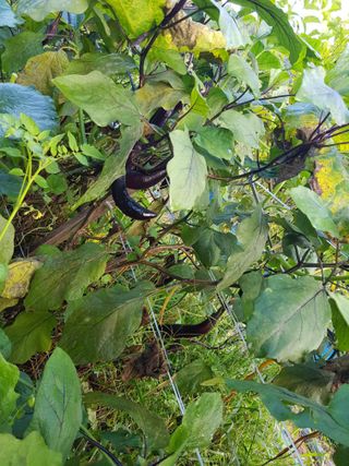 정석구님의 자유주제 · 자유게시판 작성글 사진