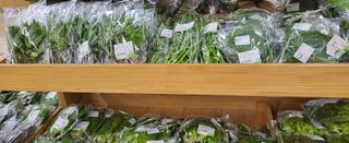 진잠농원님의 O학년 △반 이세요? · 참여글 작성글 사진