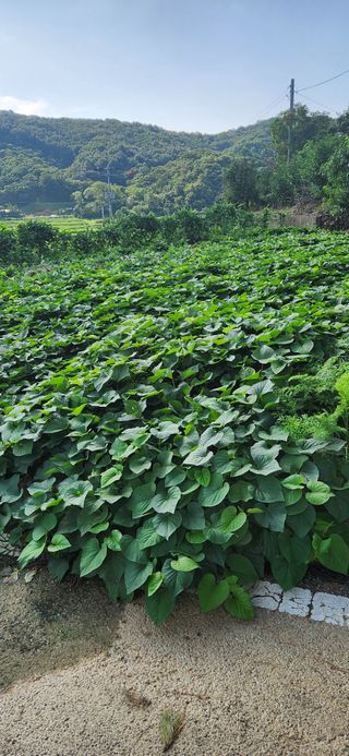 현길01021982님의 O학년 △반 이세요? · 참여글 작성글 사진