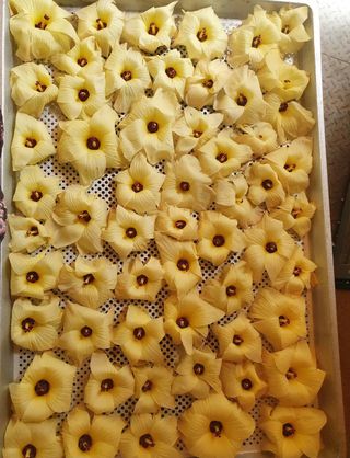 슈퍼맨님의 9월 내 작물 자랑하기 · 참여글 작성글 사진