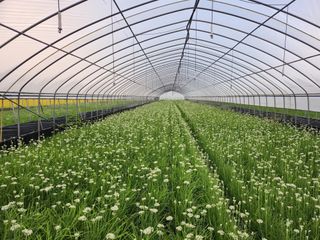 조일현님의 9월 내 작물 자랑하기 · 참여글 작성글 사진