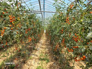 알 수 없음님의 9월 내 작물 자랑하기 · 참여글 작성글 사진