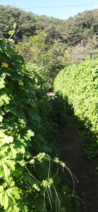 김해숙님의 작성글 사진