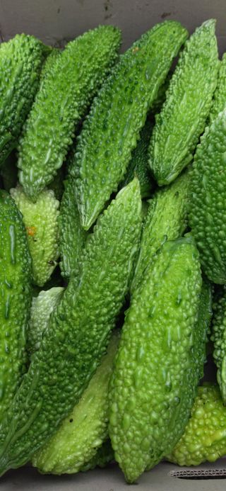 김해숙님의 작성글 사진