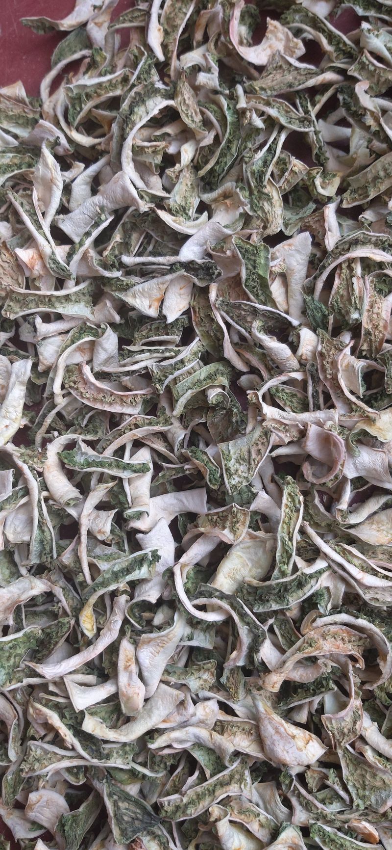 김해숙님의 장터 판매 상품 [여주분말 500그램 ] 첨부 사진