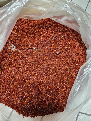 서후님의 고추 · 영농일지 작성글 사진