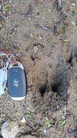 팜모닝 자유주제·자유게시판 게시글 이미지