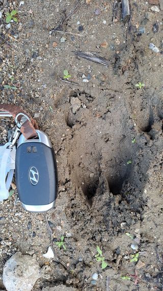 귀농 4년/지성훈님의 자유주제 · 자유게시판 작성글 사진