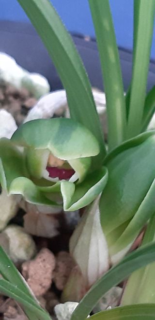 시금치20540님의 9월 내 작물 자랑하기 · 참여글 작성글 사진