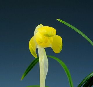 시금치20540님의 9월 내 작물 자랑하기 · 참여글 작성글 사진