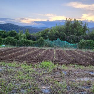 동호동 윤상임님의 자유주제 · 자유게시판 작성글 사진