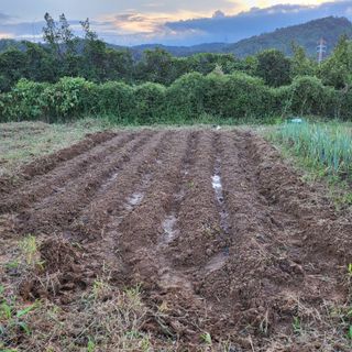 동호동 윤상임님의 자유주제 · 자유게시판 작성글 사진