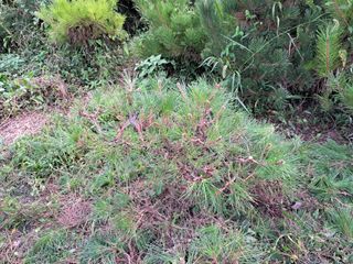 이정운님의 9월 내 작물 자랑하기 · 참여글 작성글 사진