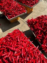 팜모닝 · 게시글 이미지