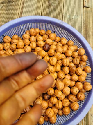 두릅나무20315님의 자유주제 · 자유게시판 작성글 사진