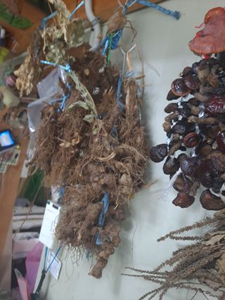 백작약님의 작성글 사진