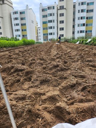 김연숙님의 9월 내 작물 자랑하기 · 참여글 작성글 사진