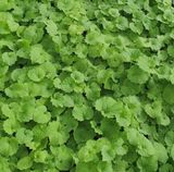 팜모닝 · 게시글 이미지