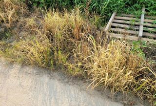 자연치유농법님의 농자재정보 · 제품정보 작성글 사진