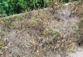 자연치유농법님의 농자재정보 · 제품정보 작성글 사진