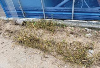 자연치유농법님의 농자재정보 · 제품정보 작성글 사진