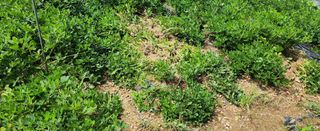 김광석님의 자유주제 · 자유게시판 작성글 사진