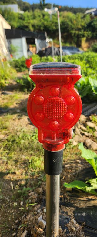 김광석님의 자유주제 · 자유게시판 작성글 사진