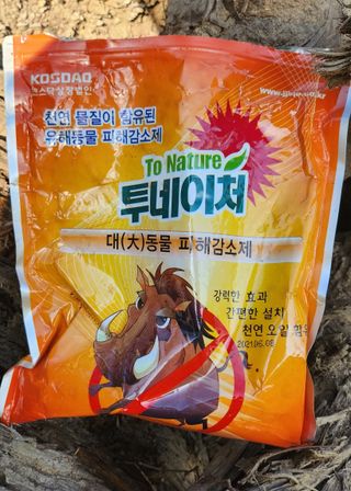 김광석님의 자유주제 · 자유게시판 작성글 사진