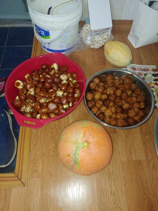 강물님의 9월 내 작물 자랑하기 · 참여글 작성글 사진