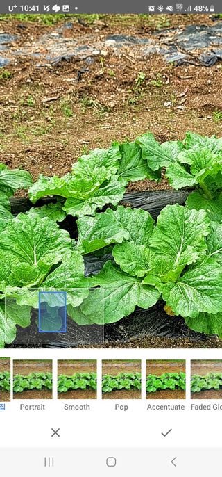 Fly up님의 기타작물 · 자유게시판 작성글 사진