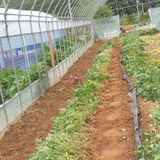 팜모닝 자유주제·자유게시판 게시글 이미지