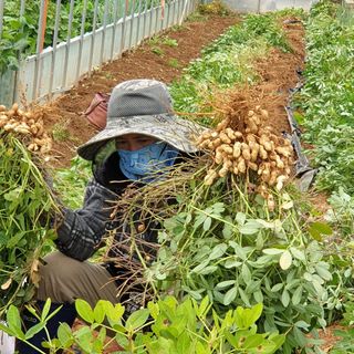 청송농장16987님의 자유주제 · 자유게시판 작성글 사진