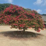 팜모닝 9월 내 작물 자랑하기·참여글 게시글 이미지