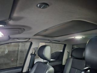 신이내린오디 정가네님의 작성글 사진