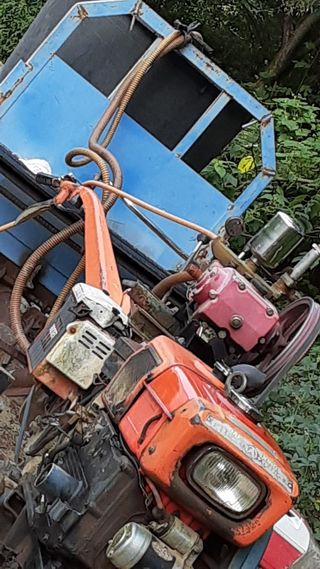 아리랑님의 콩 · 영농일지 작성글 사진