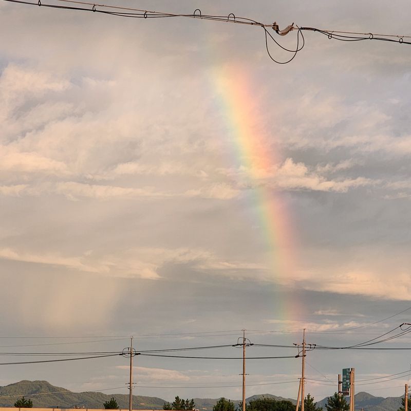 장터 상품 [시금치 ] 썸네일