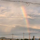 팜모닝 · 게시글 이미지