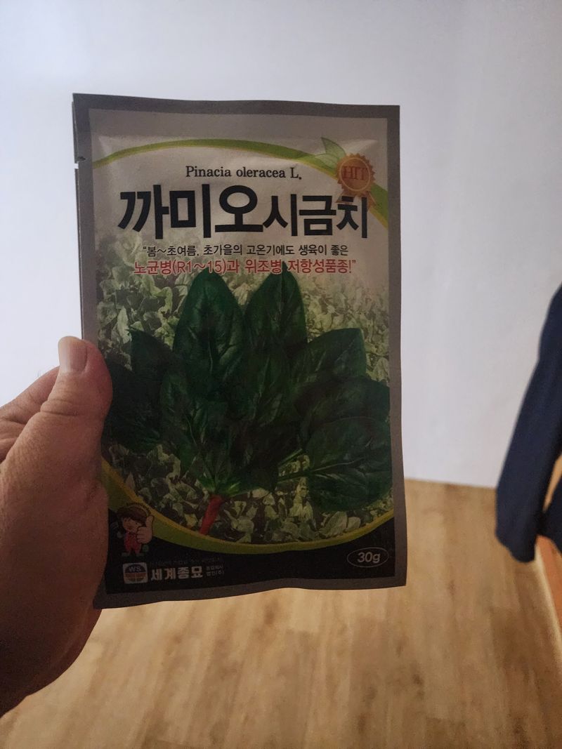 양파님의 장터 판매 상품 [시금치 ] 첨부 사진