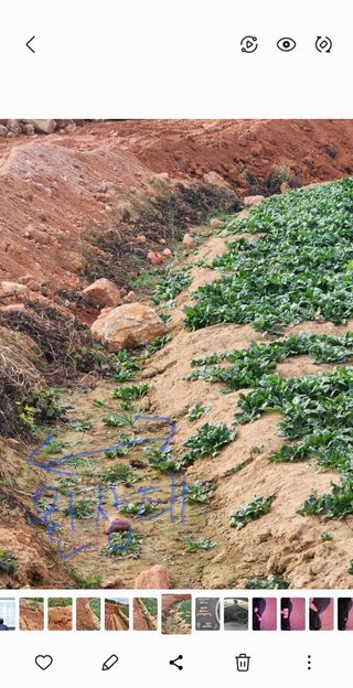 양파님의 작성글 사진