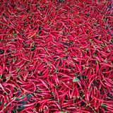 팜모닝 9월 내 작물 자랑하기·참여글 게시글 이미지