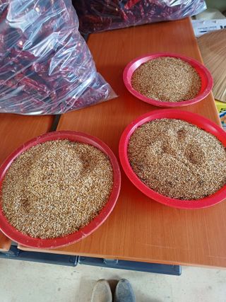 송광호님의 9월 내 작물 자랑하기 · 참여글 작성글 사진