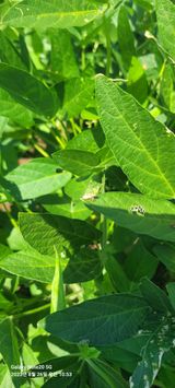 팜모닝 9월 내 작물 자랑하기·참여글 게시글 이미지