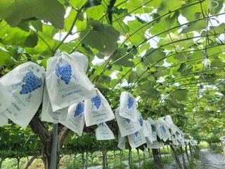 허니캠벨님의 작성글 사진