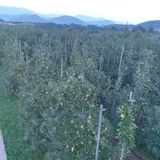 팜모닝 9월 내 작물 자랑하기·참여글 게시글 이미지