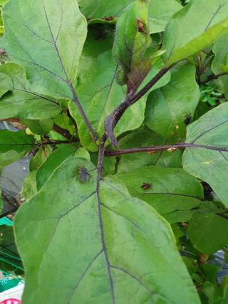 죽장인님의 자유주제 · 자유게시판 작성글 사진