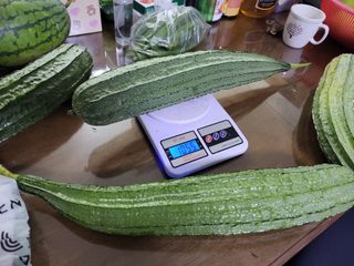 원빈님의 자유주제 · 자유게시판 작성글 사진