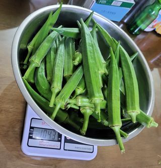 원빈님의 자유주제 · 자유게시판 작성글 사진